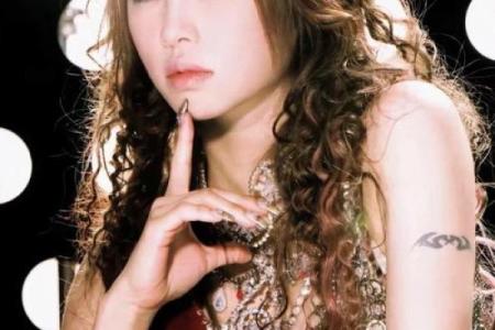 蔡依林紫薇斗数