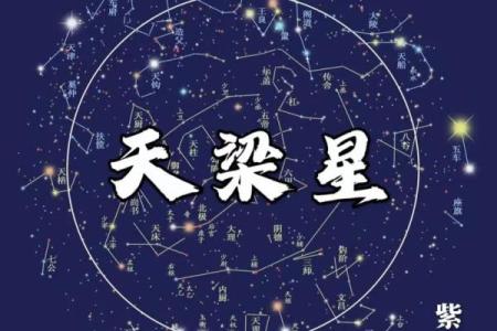 测字紫微斗数 紫薇斗数测？
