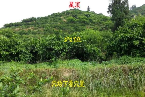 杨筠松风水点穴秘诀坟地寻龙诀