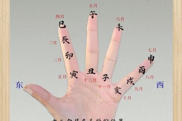 在线扫一扫测手相算命,扫一扫测手相算命免费 在线扫一扫测手相算命,扫一扫测手相算命免费