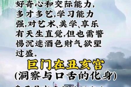 紫薇斗数神巴巴