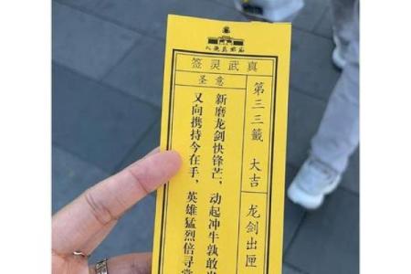 真武灵签用法教程全解