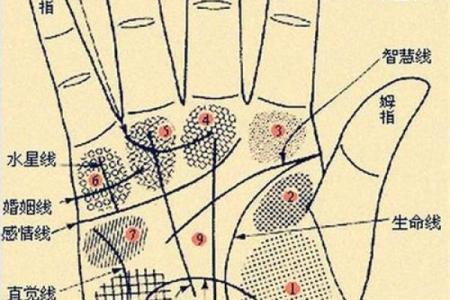 在线扫一扫测手相算命,扫一扫测手相算命免费