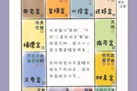 紫薇斗数盘下载