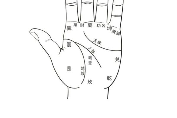 算命手相,免费看手相算命 算命手相,免费看手相算命