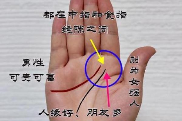 算命手相,免费看手相算命 算命手相,免费看手相算命