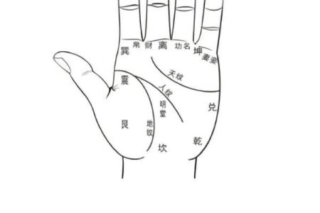 算命手相,免费看手相算命