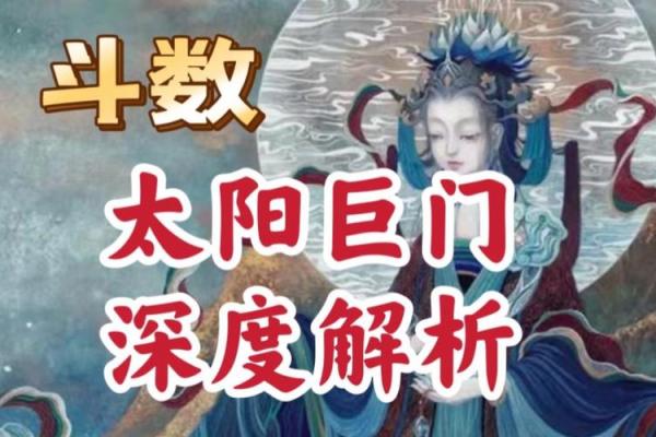 紫薇斗数之巨门