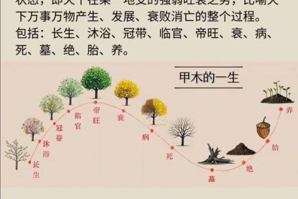 算命疾病算命 算命疾病算命