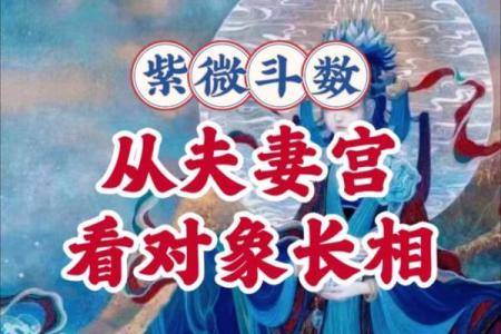 紫薇斗数看姻缘百度贴吧