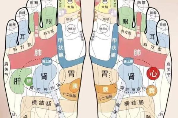 男人脚痣相算命图解