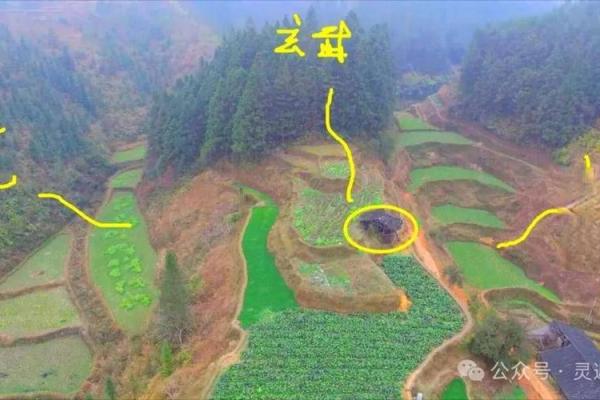 风水房子在龙肚子好吗