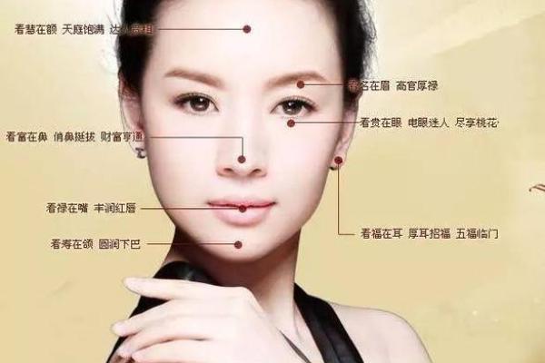 面相风水女人十大富贵眉毛你有吗