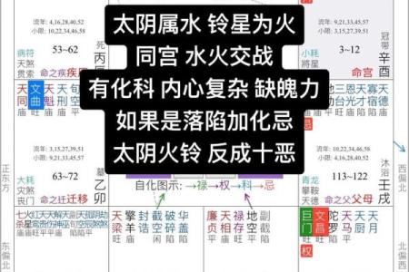 倪海厦跟谁学的紫薇斗数