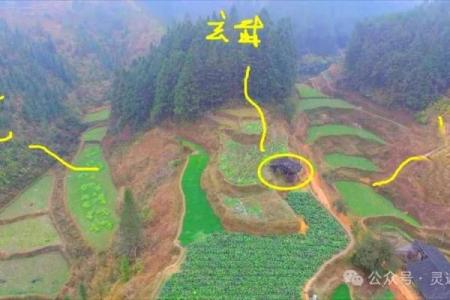 风水房子在龙肚子好吗