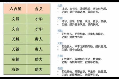 琴堂派紫薇斗数
