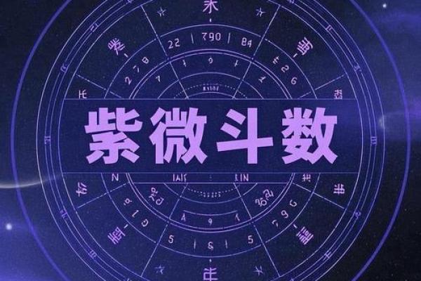 紫微斗数星宿详解天机星 紫薇星天机星？