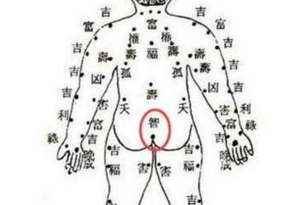 肚脐算命,哪种肚脐眼是富贵相