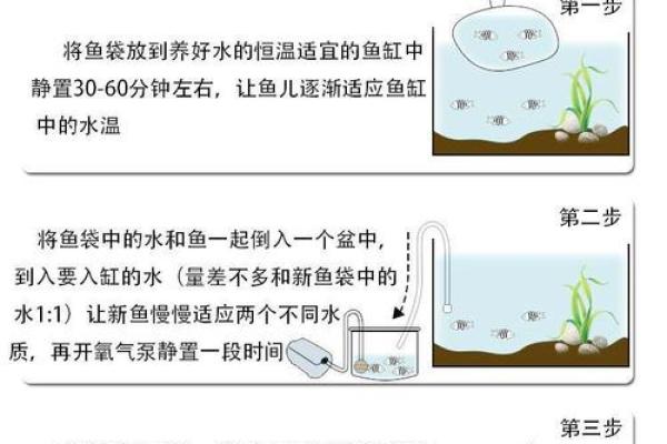 养鱼风水讲究需要注意哪些方面呢