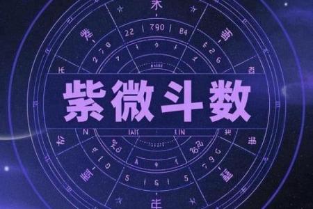 紫微斗数星宿详解天机星 紫薇星天机星？