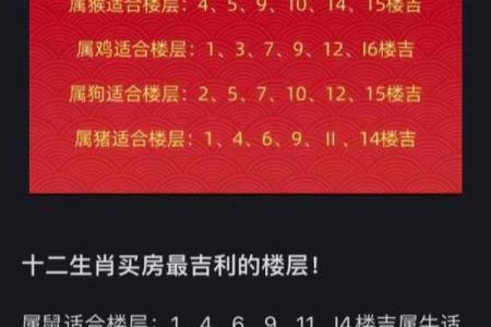 买房子选楼层,看风水.我属虎,木.老公属羊,土.