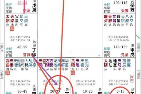 紫微斗数疾厄宫武曲化权