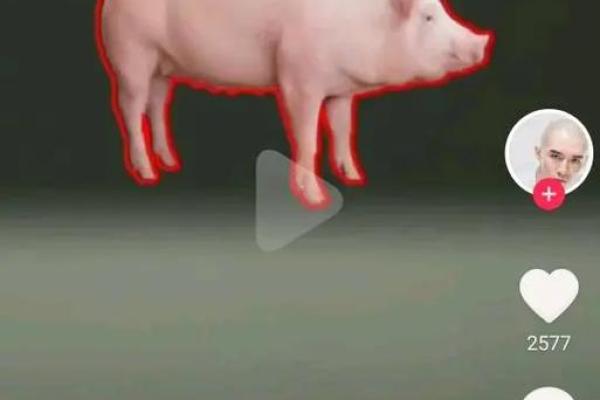 网友分享自己的算命经历，这谁顶得住啊