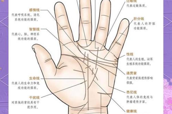 风水生命线短的人寿命短吗有什么说法