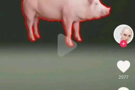 网友分享自己的算命经历，这谁顶得住啊