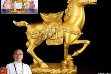 生肖风水_什么生肖做生意的人最多