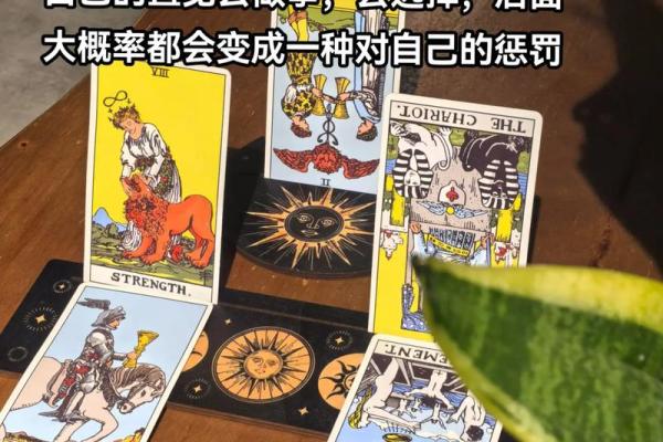 塔罗测试：九月事业运？