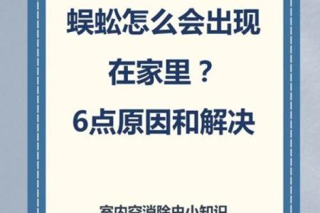 家里风水_家里突然出现多个潮虫是什么征兆