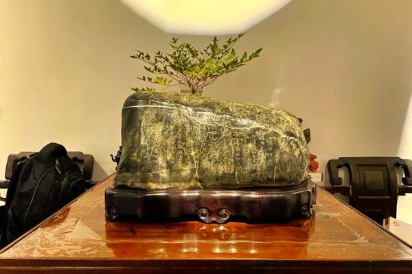 详解：九龙连壁风水摆件