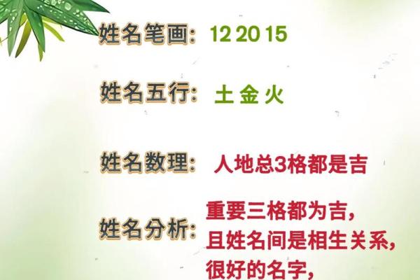 姓名分析测试免费测试,姓名测算分析