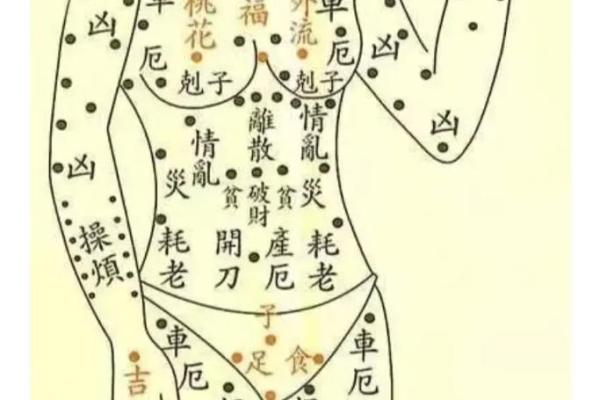 风流女人的面相痣算命 风流女人的面相痣算命