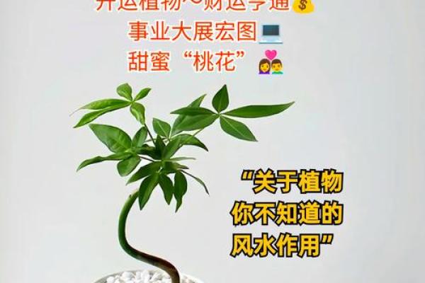 风水聚财,做生意风水注意事项 风水聚财,做生意风水注意事项