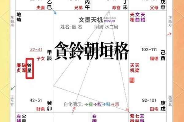 紫薇斗数中禄忌权科什么意思