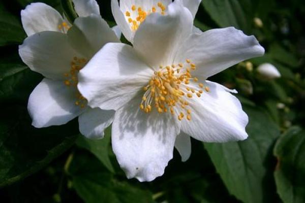 梦见老人佛滔算命 梦见老人佛滔算命