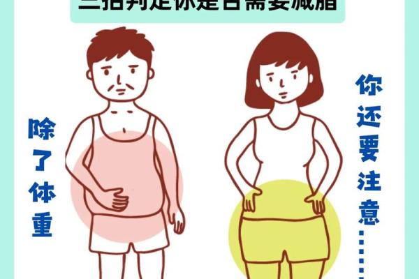 人胖与瘦八字命理组合揭秘