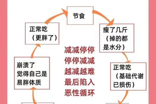 人胖与瘦八字命理组合揭秘