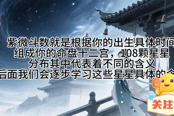 紫薇斗数实战视频