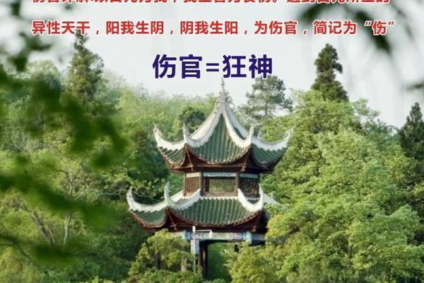 算命说这个有官司是真的吗 算命说这个有官司是真的吗