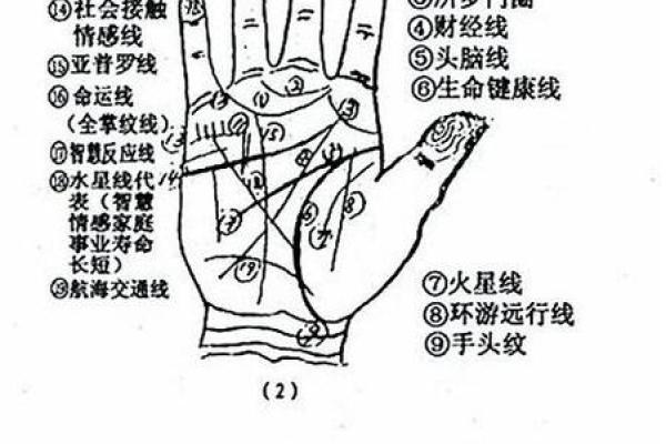 怎样看手相算命,如何学会看手相算命