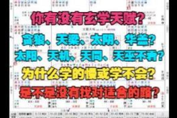 适合当艺术家的紫薇斗数