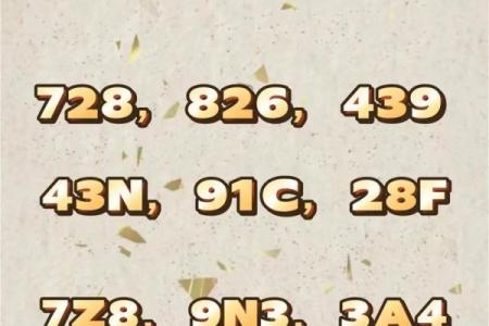 测试车牌号码吉凶准吗