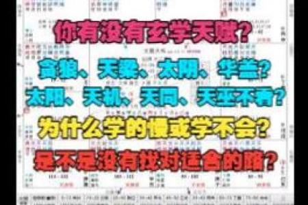 适合当艺术家的紫薇斗数