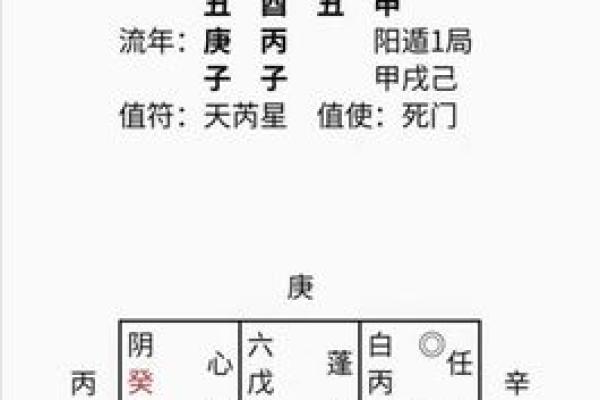 奇门遁甲在线排盘系统专业版 奇门遁甲在线排盘系统专业版