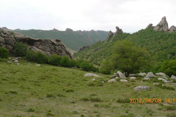 如何以沙漠绿洲为中心测算八字? 如何以沙漠绿洲为中心测算八字?