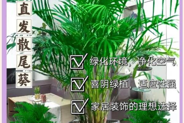 假花摆放在家里影响风水有哪些方面呢 假花摆放在家里影响风水有哪些方面呢