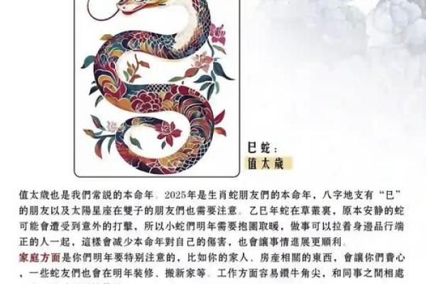 唐艺尹老师传统八字:蛇生肖出生时间看命运 唐艺尹老师传统八字:蛇生肖出生时间看命运